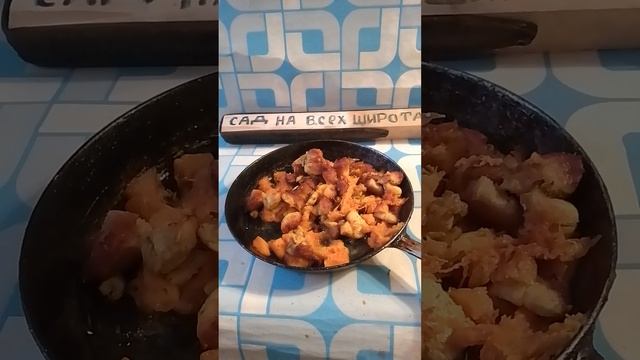 Еда для нищих быстро и просто.