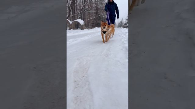 Сладкие Мармеладки🍭