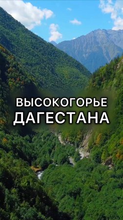 Приехали в высокогорье! Село Хадиял в Тляратинском районе