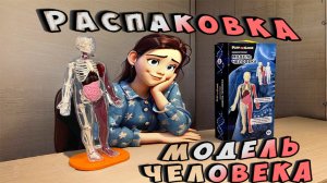 Распаковка конструктора модели человека🧬Unpacking the human model constructor/Вероничка клубничка🍓