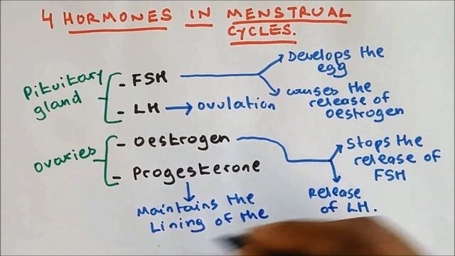 Hormones in Menstrual Cycle, GCSE BIOLOGY SCIENCE