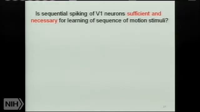 Neural Plasticity: From Synapse to Perception смотреть онлайн