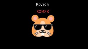 Группа Хомяки-"песня про хомяков"