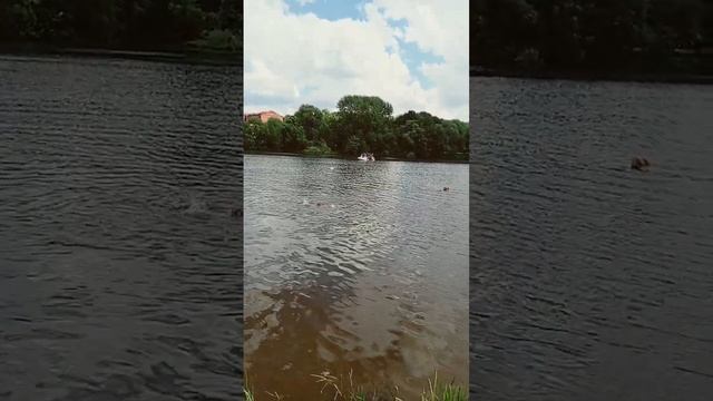 3 июня 2024 г. смотреть онлайн