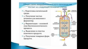 Заседание научного дискуссионного клуба «Кулибины – из прошлого в будущее».