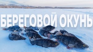 Нарвались на окуня в берегу. Зимняя рыбалка на окуня. Ловля окуня на блесну. Зимняя блесна