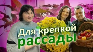 Биопрепараты для выращивания здоровой и крепкой рассады - ТО ЧТО НУЖНО🌿