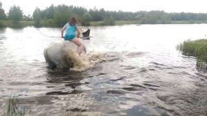 Купание коней. Шувое.