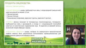 Овцеводство Пахомова
