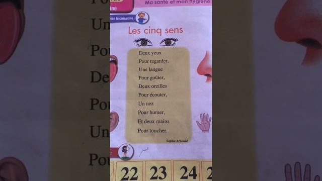 Les cinq sens
