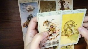 Школы России, Сферум, куда идём?