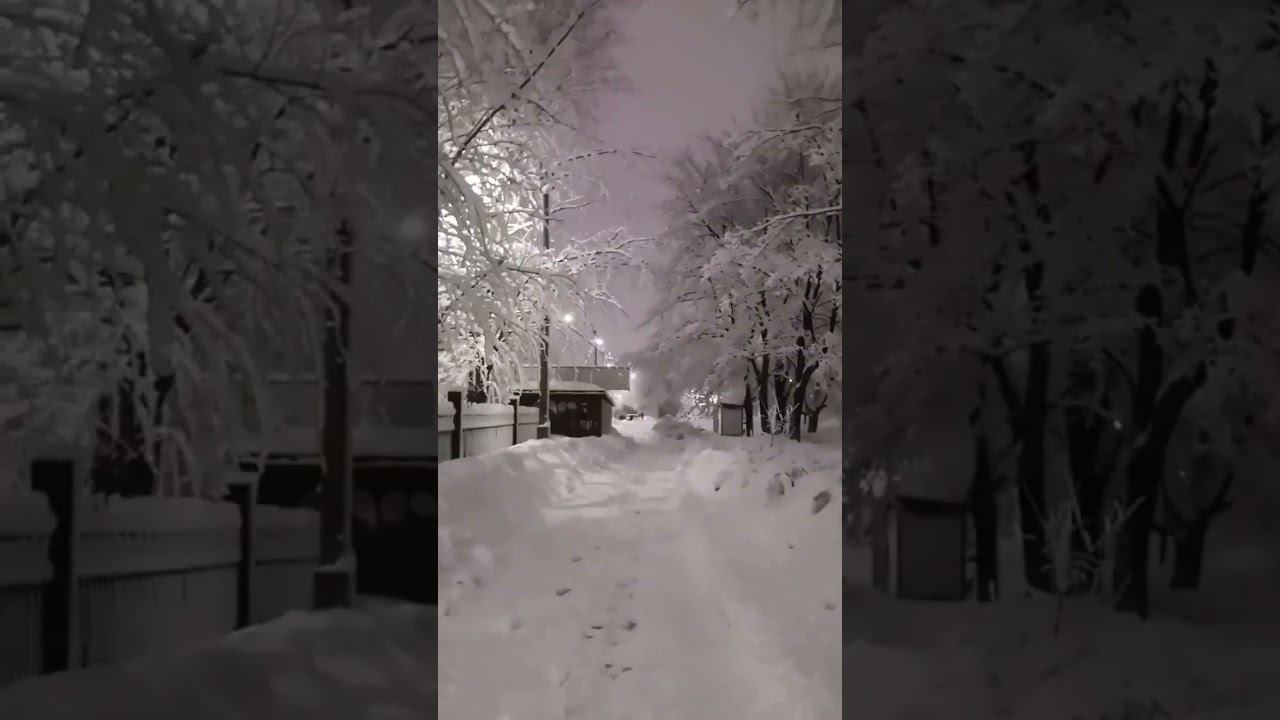 #рекомендации #тренды #юмор смотреть онлайн