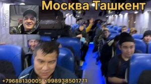 тошкент москва автобус