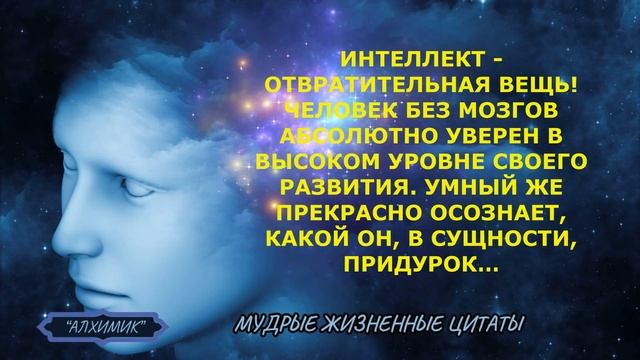 Лучшие отборные Жизненные Цитаты. Мудрые Жизненные Цитаты со смыслом! Которые надо Знать