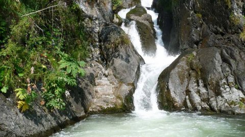 Водопады Алтая: Комментарий профессионального гида 🌊🏞️