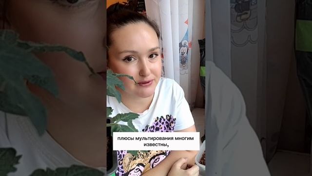 🤬 Надоели слизни и сорняки? ЕСТЬ РЕШЕНИЕ! (И оно у вас под носом! 😉)