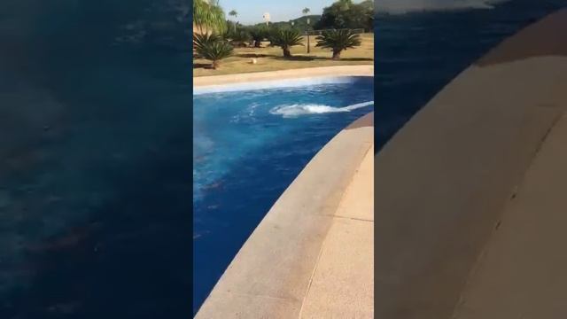 Sondagua Caminhão Pipa смотреть онлайн