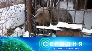 «Сегодня в Санкт-Петербурге»: 16 декабря 2024 года