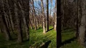 Фразы на болгарском языке