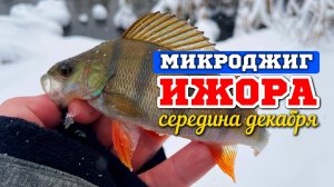 Ищем Щуку и Окуня в Экстремальных Условиях! #микроджиг #дропшот #рыбалка