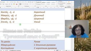 Уроки греческого языка | В МАГАЗИНЕ ОДЕЖДЫ | Στο κατάστημα ρούχων