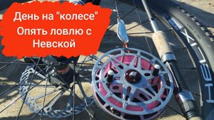 День на колесе 2023. Рыбалка с Невской катушкой.