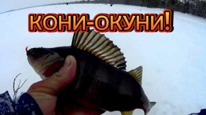 Кони-Окуни! Рыбалка-мечта на День Рождения! Но погода ЖЕСТЬ! (Видео 2022 г.)