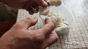 Проращивание семян эводия Даниэля , Павловнии Войлочной и Паволнии Гибрид.