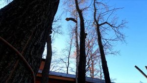 второй день съемки на гоу про