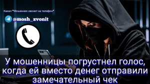 У мошенницы погрустнел голос, когда ей вместо денег отправили замечательный чек