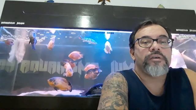 RESPONDENDO DÚVIDAS AQUARISMO JUMBO AO VIVO