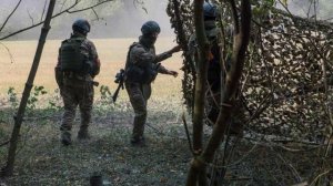 Группа украинских военных сдалась в плен ВС РФ