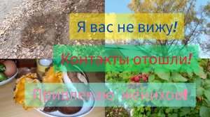 1.10.2023 ЯМА ПО КОЛЕНО🚙ВЫРВЕТ КОЛЕСО!😱ТЫ СЮДА НЕ СМОТРИ-ТЫ ТУДА СМОТРИ!🤭ПОРА ВСЁ ВЫДЁРГИВАТЬ!🍃🥀🍂