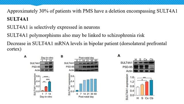 EPTRI Open Meeting - Chiara Verpelli смотреть онлайн