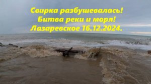 Свирка разбущевалась! Битва реки и моря! Лазаревское 16.12.2024.