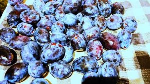 Сливовый пирог по рецепту Александра Селезнева.Быстро и вкусно.