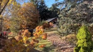 Жизнь в Канадской деревне// сауна //огород// готовим в Казане и в Автоклаве