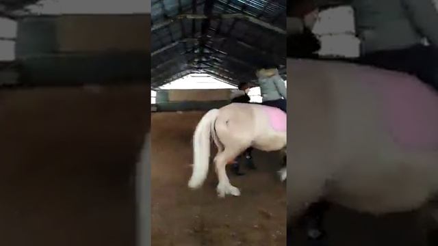 Аня Рысь Мадонна