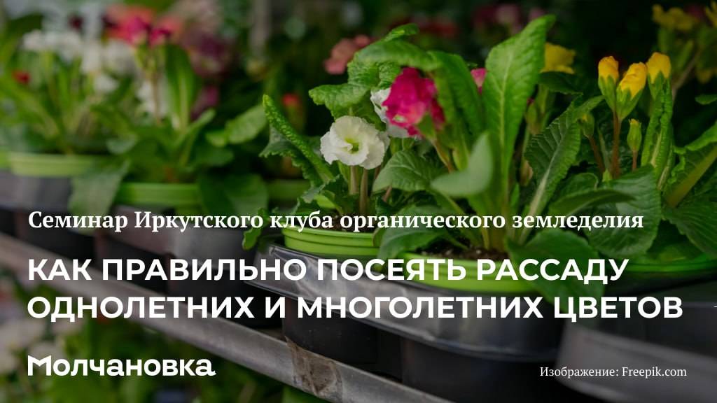 3 сезон 13 семинар. Посев однолетники и многолетники