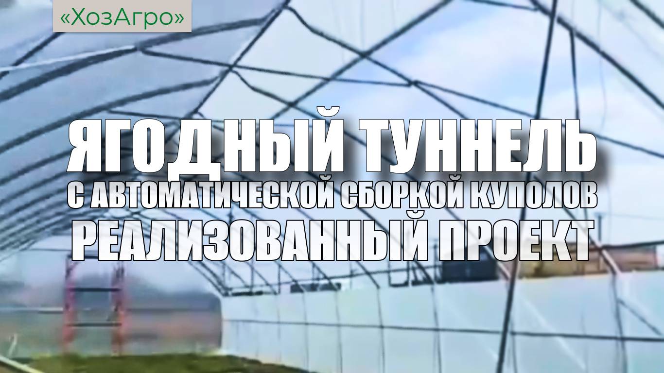 🍓Ягодный туннель с автоматической сборкой куполов