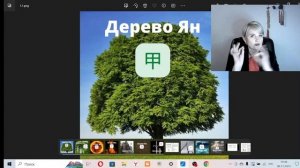 Дерево Ян. Описание человека с элементом личности через Бацзы.