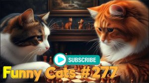 Смешные коты #277