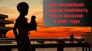 ООО в Абхазии в 2025 году. Нюансы регистрации бизнеса и полезные рекомендации