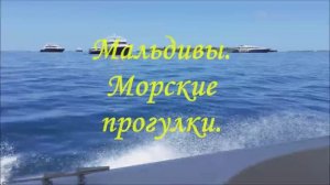 Мальдивы. Морские прогулки.