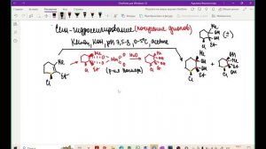 Кружок по химии 24/25. 10 класс Занятие 9