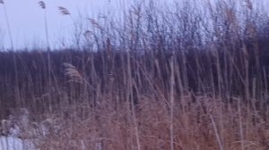 В Вавилон на лыжах