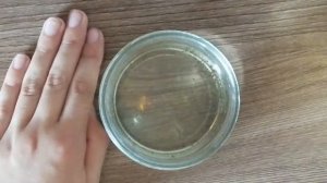 Личинки комаров окуклились!