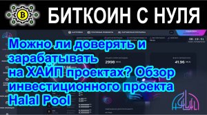 Можно ли доверять и зарабатывать на ХАЙП проектах? Обзор инвестиционного проекта Halal Pool