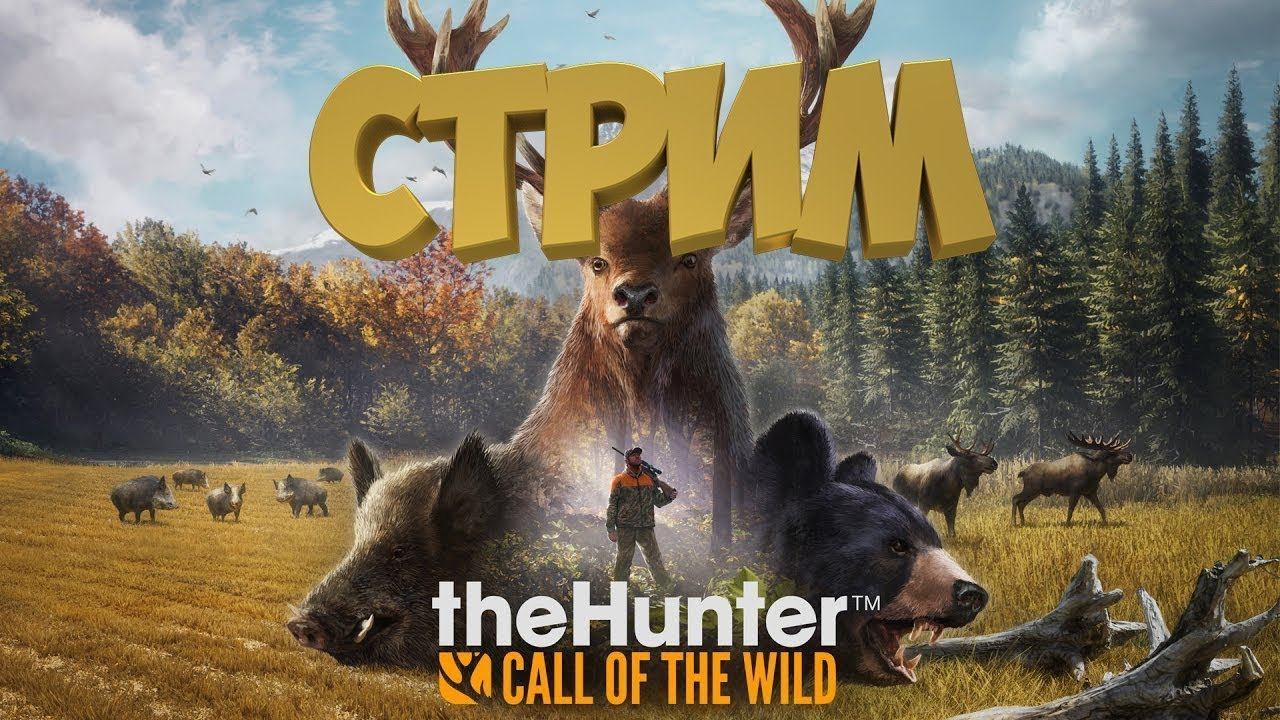 the Hunter: Call of the Wild /►/ ВЕСЕЛЫЙ ОХОТНИК/►/ОБЗОР /►/ STREAM /►/ смотреть онлайн