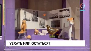 Уехать или остаться?